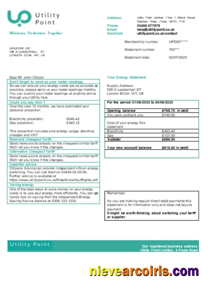 Utility Point utility business bill